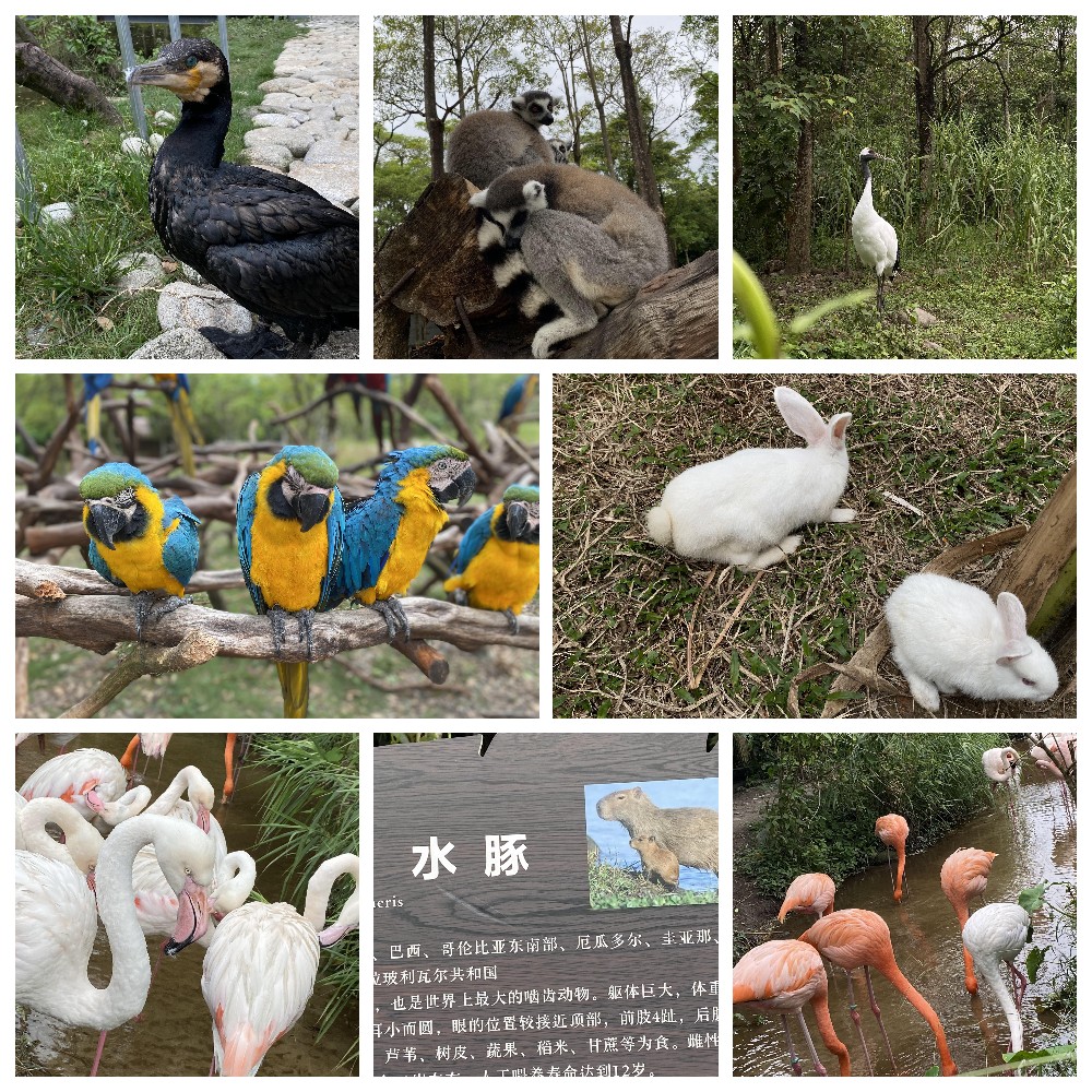 厚積薄發(fā)，蓄力前行：大手牽小手，共圓實(shí)佳夢(mèng)